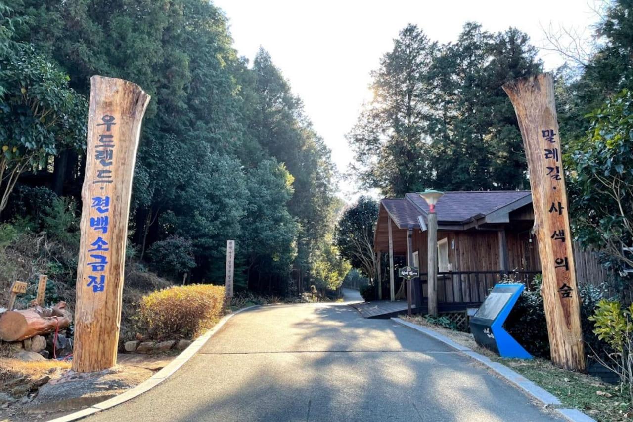 편백숲 우드랜드.jpg