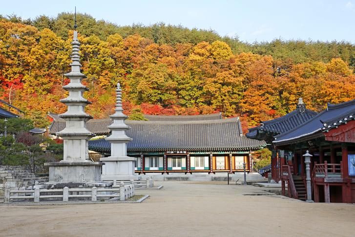 양평 용문사 (4).jpg