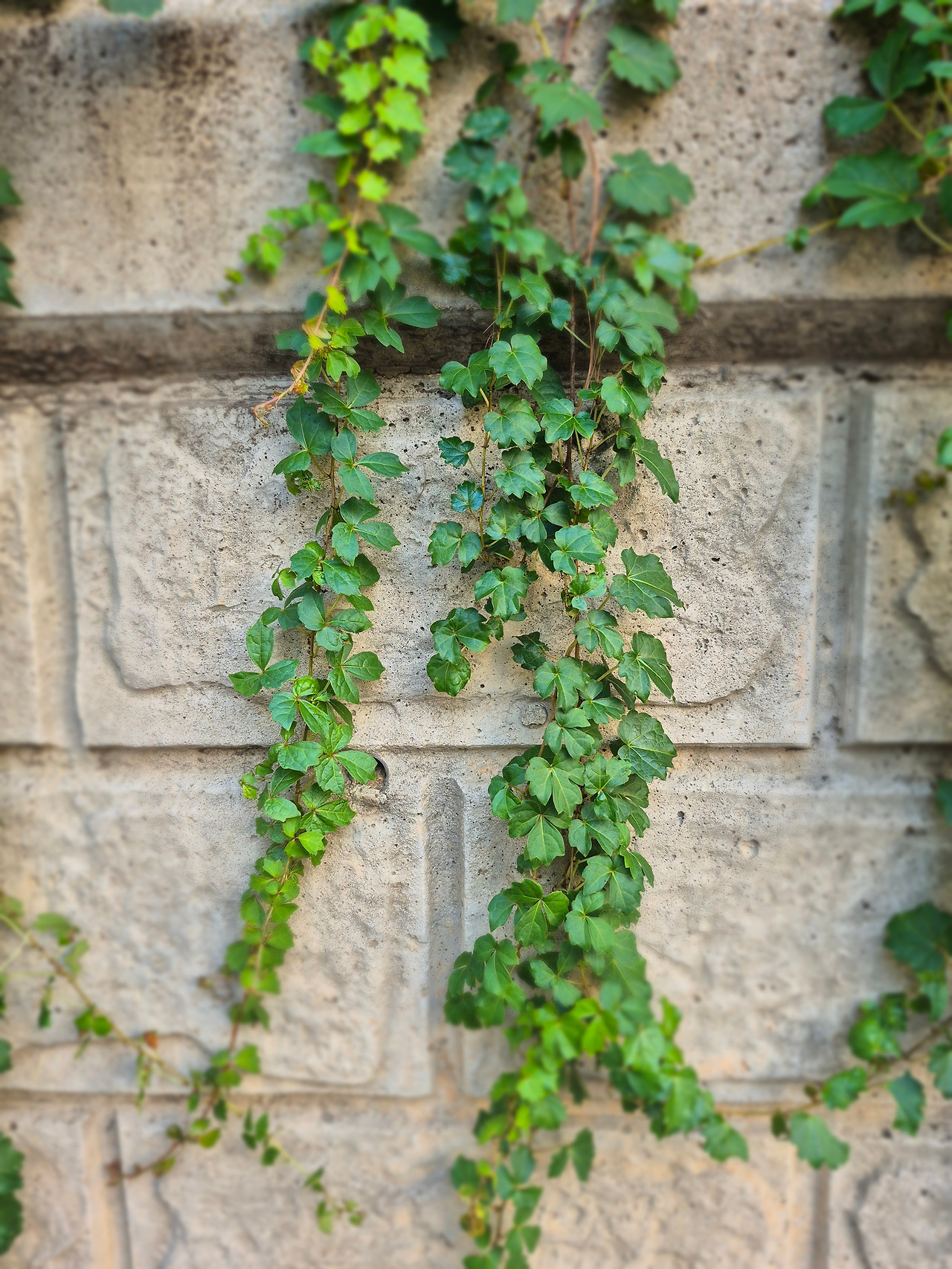 24년도 소득금액증명원.jpg