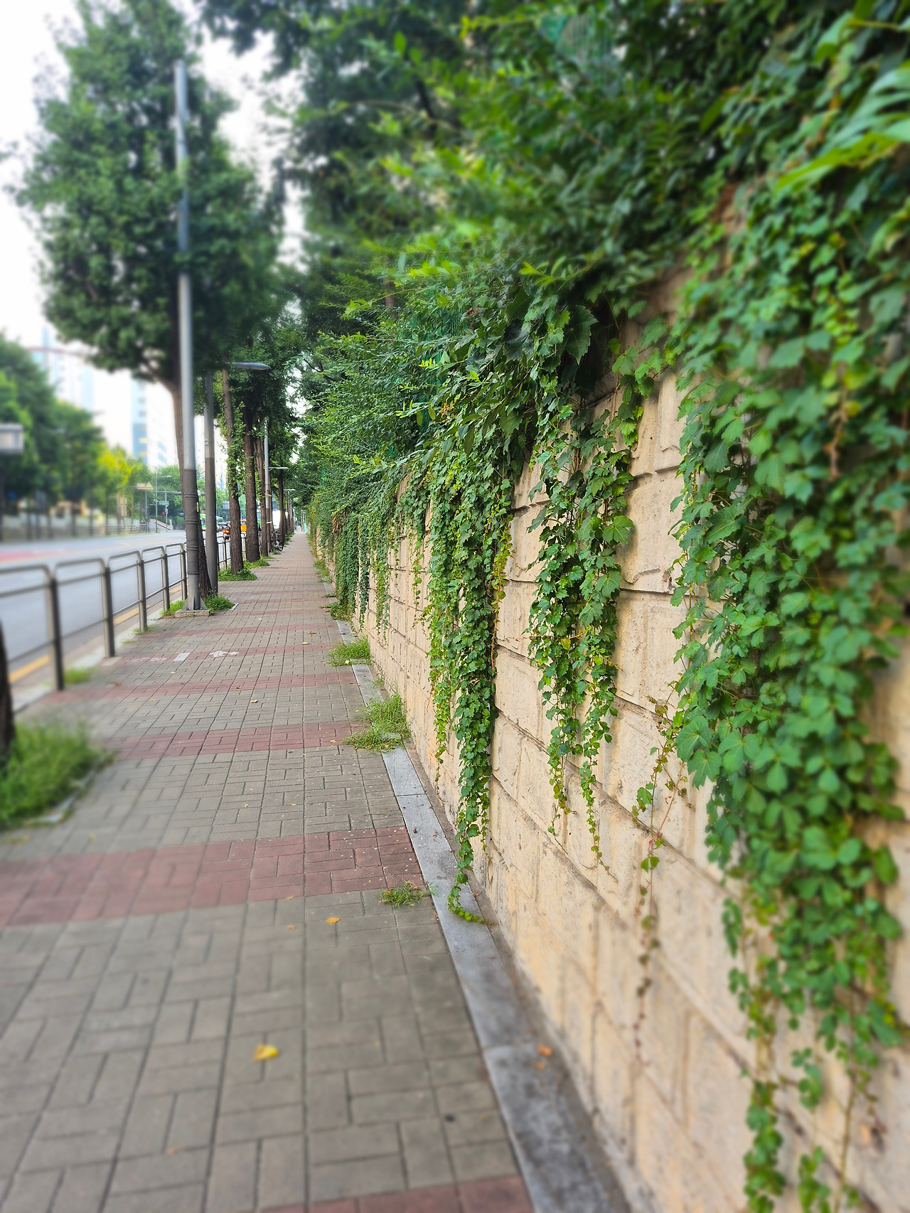 24년도 소득금액증명원.jpg