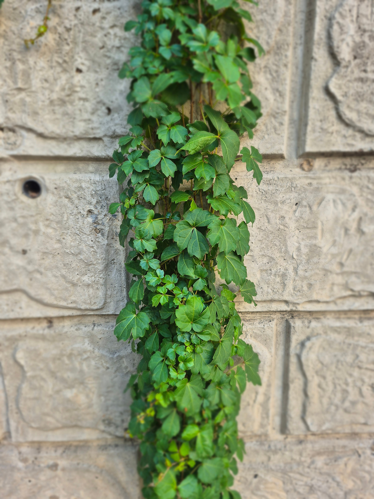 24년도 소득금액증명원.jpg