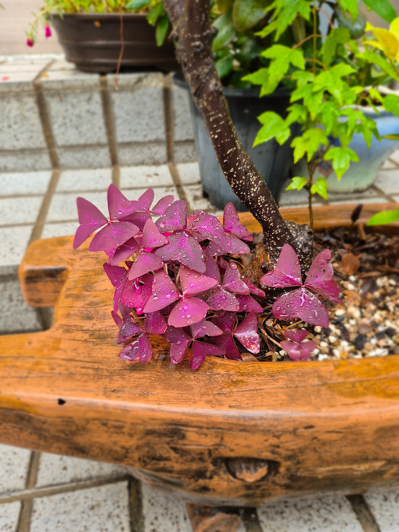 24년도 소득금액증명원.jpg