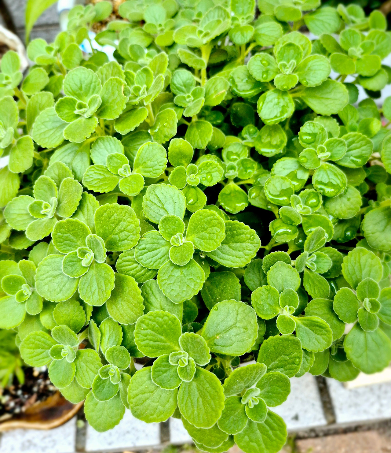 24년도 소득금액증명원.jpg