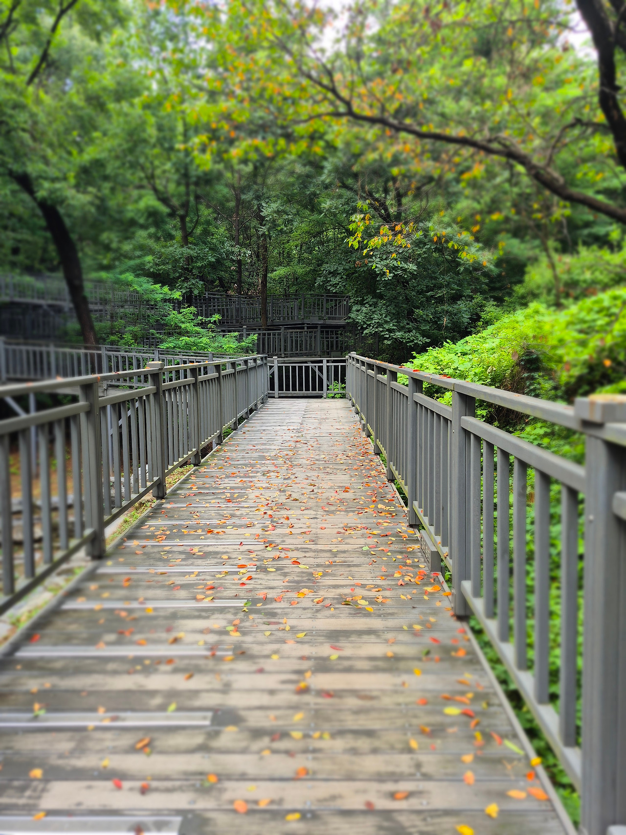 24년도 소득금액증명원.jpg