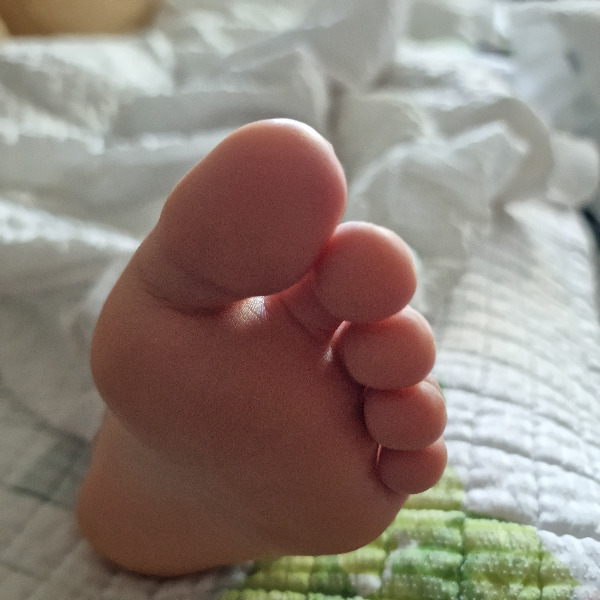 코끼리 발가락.jpg