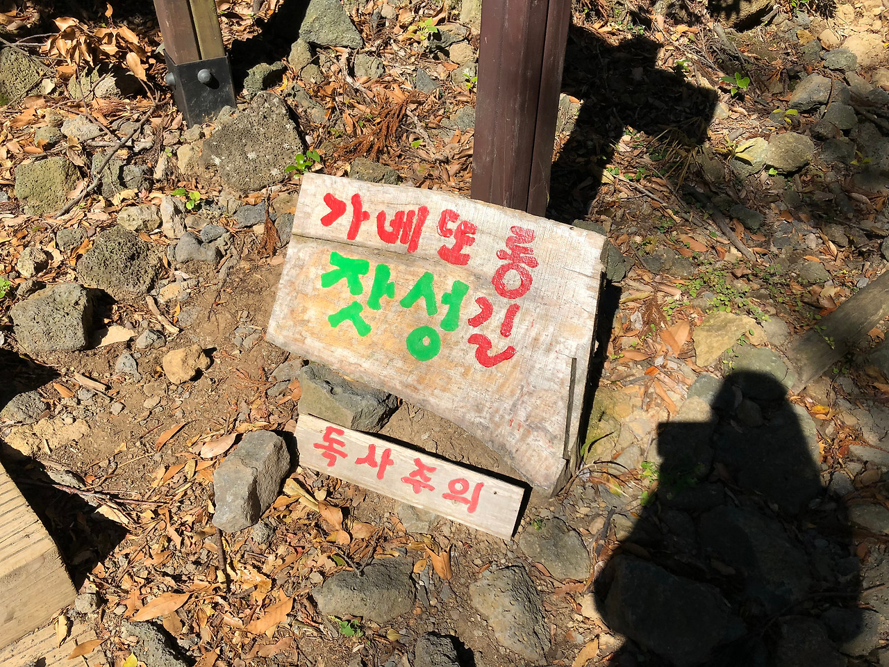 카지노 가입 쿠폰