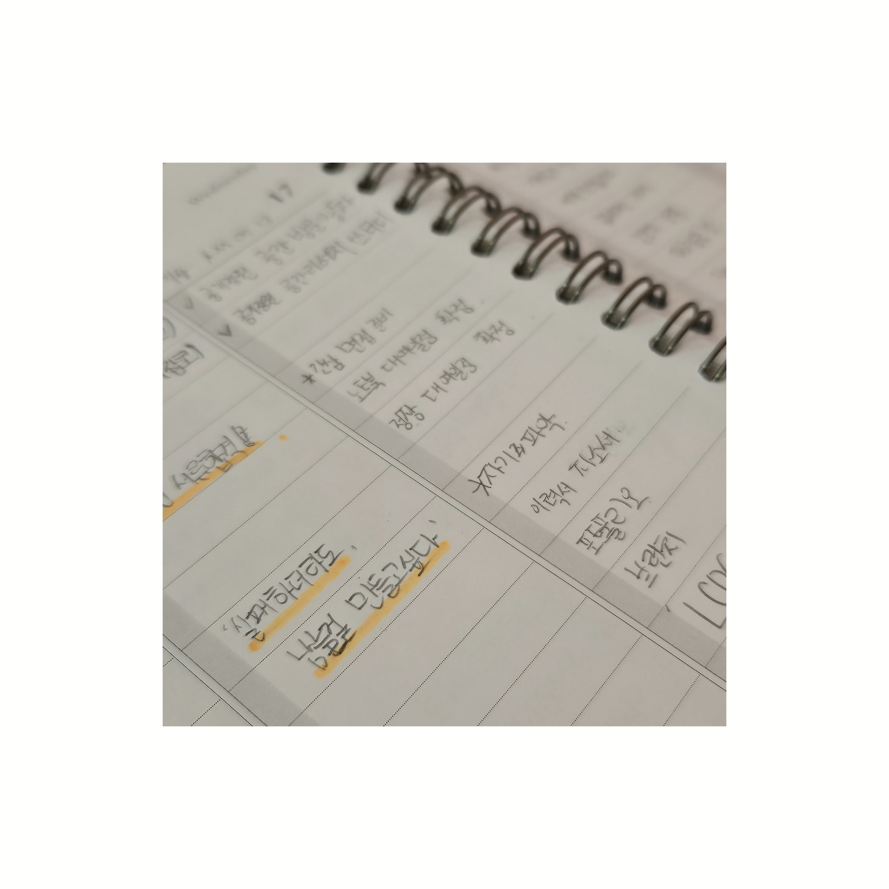 기록 이미지.jpg