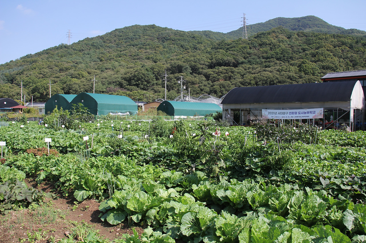 사본 -IMG_0385.jpg