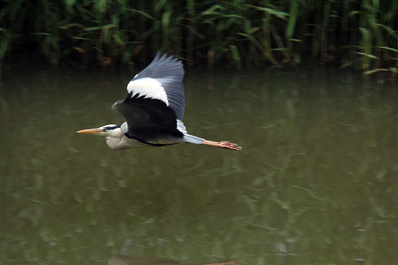 사본 -IMG_2328.jpg