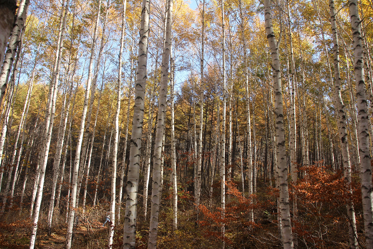 사본 -IMG_3430.jpg