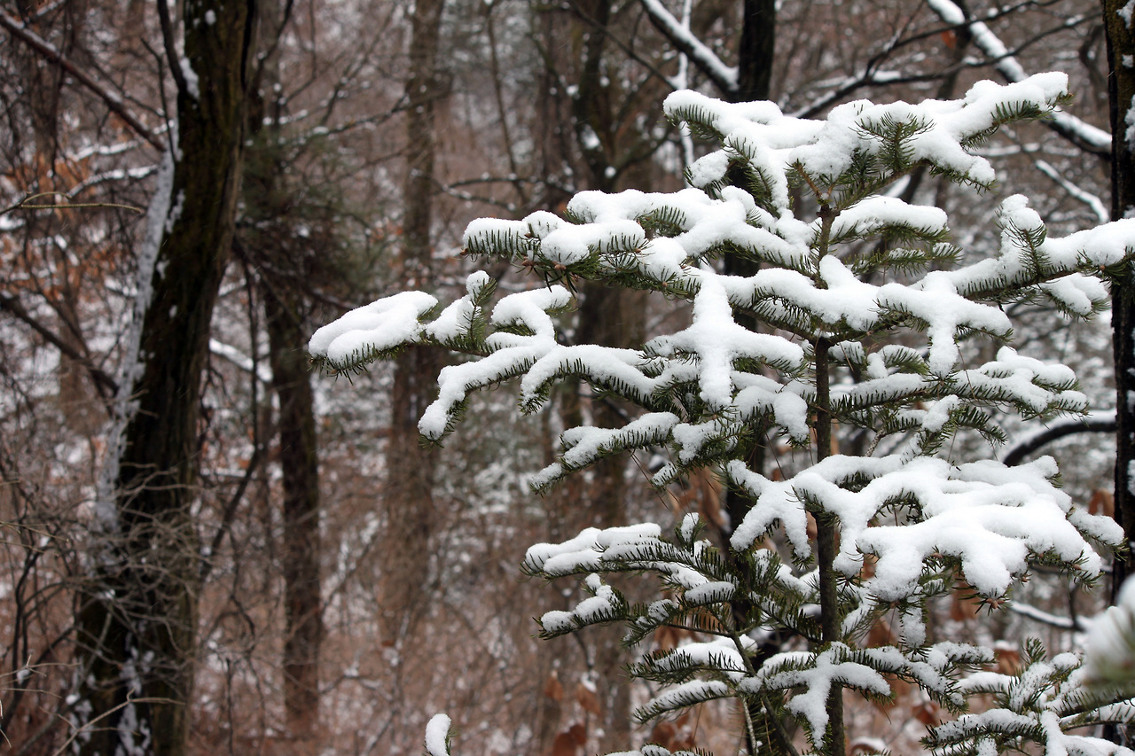 사본 -IMG_3723.jpg