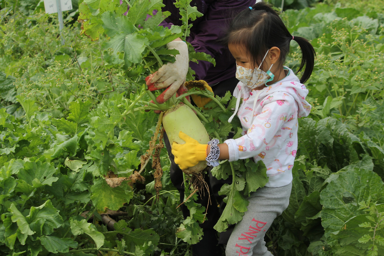 사본 -IMG_0766.jpg