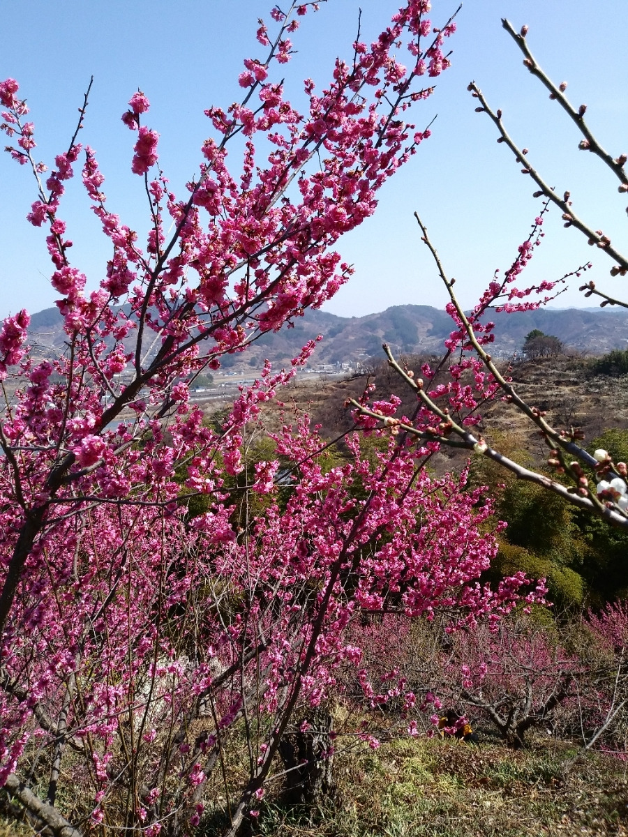 20180317_114336 (1).jpg