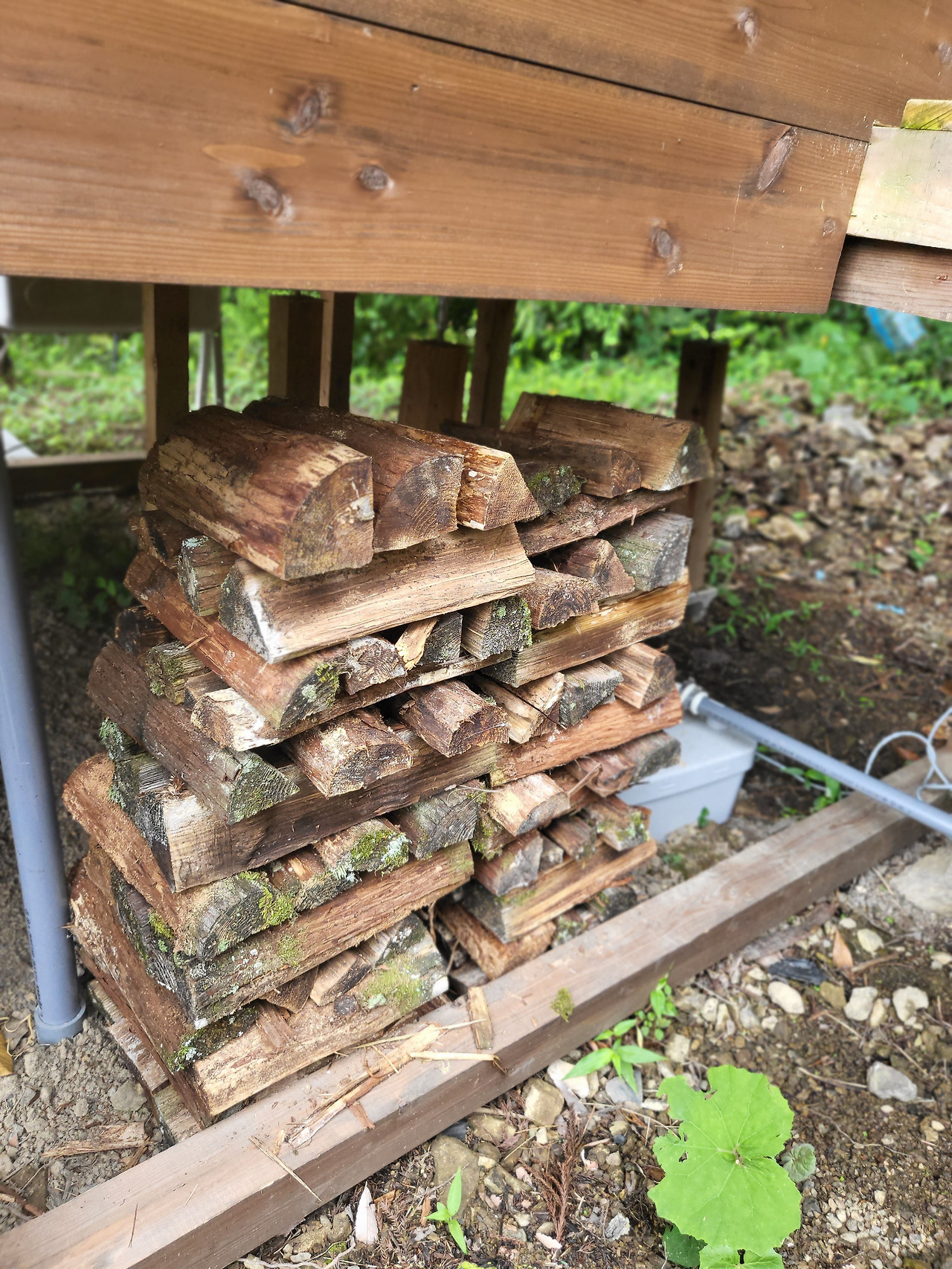 경관 - 목욕탕1 (금자).jpg