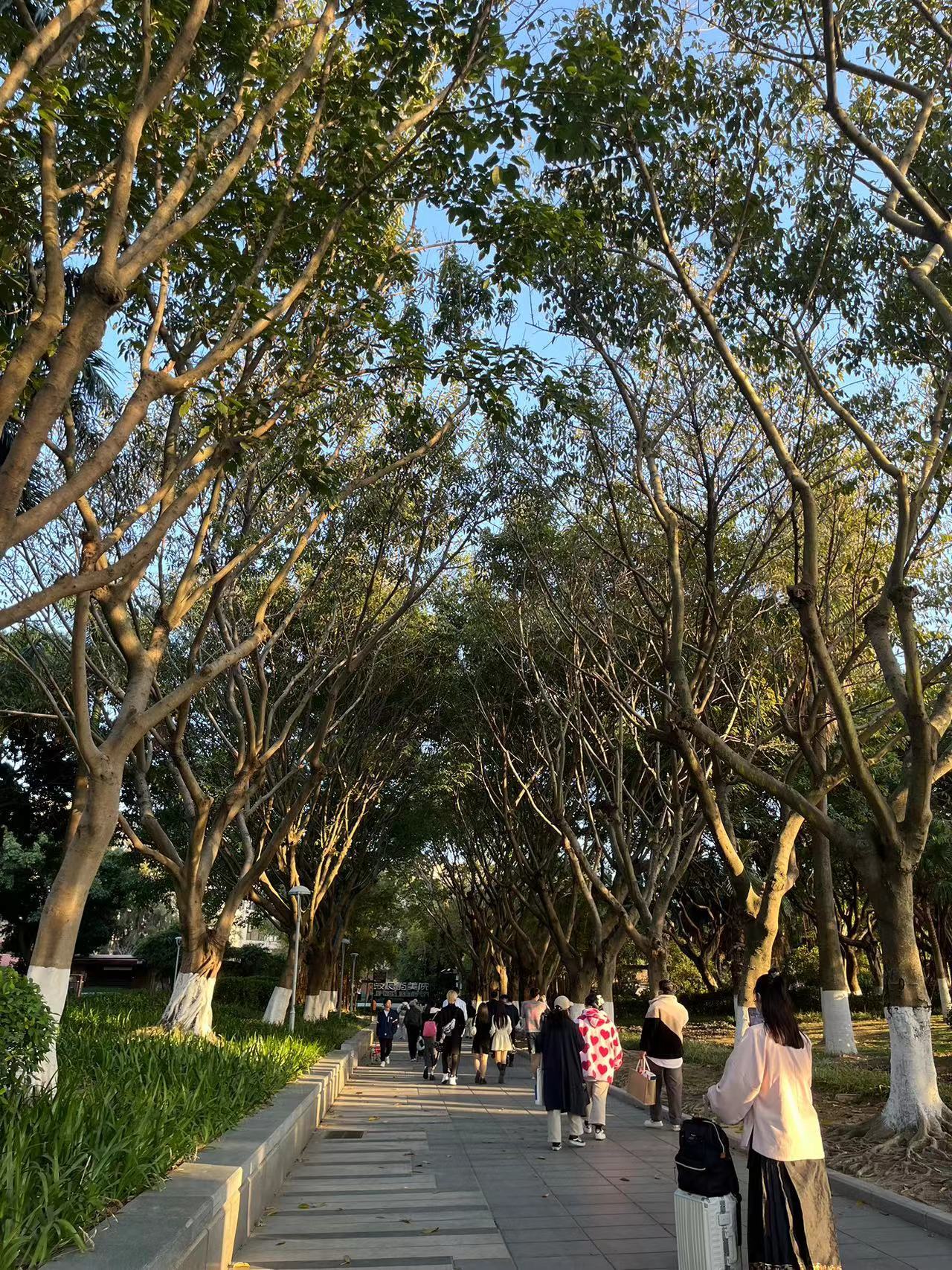 Weixin Image_20240629175837.jpg