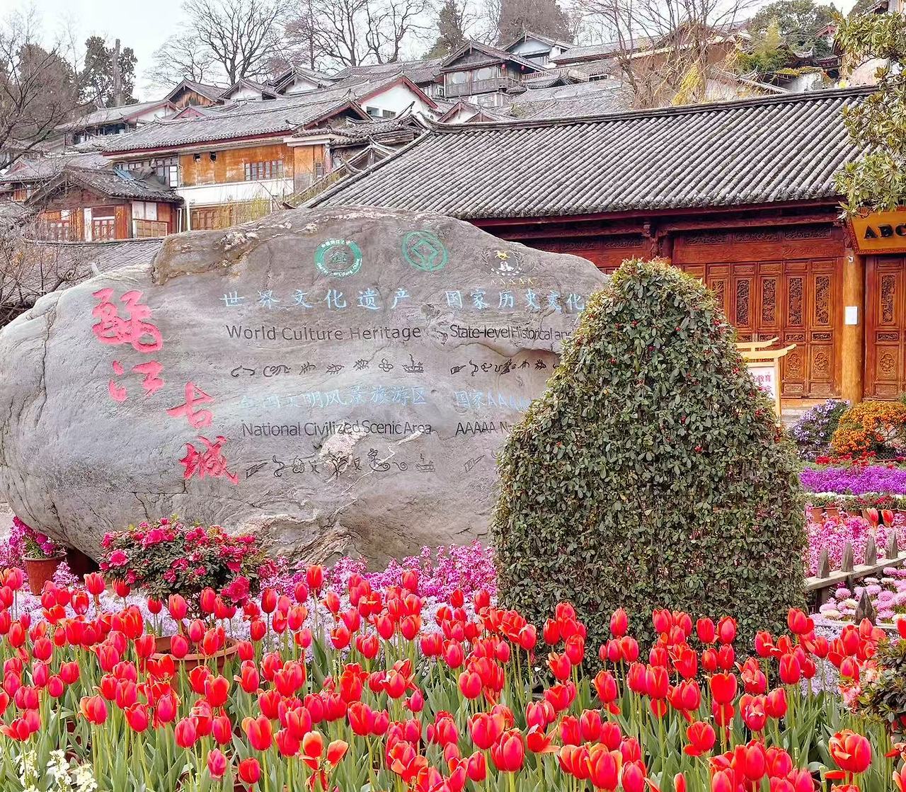 Weixin Image_20250215170125.jpg