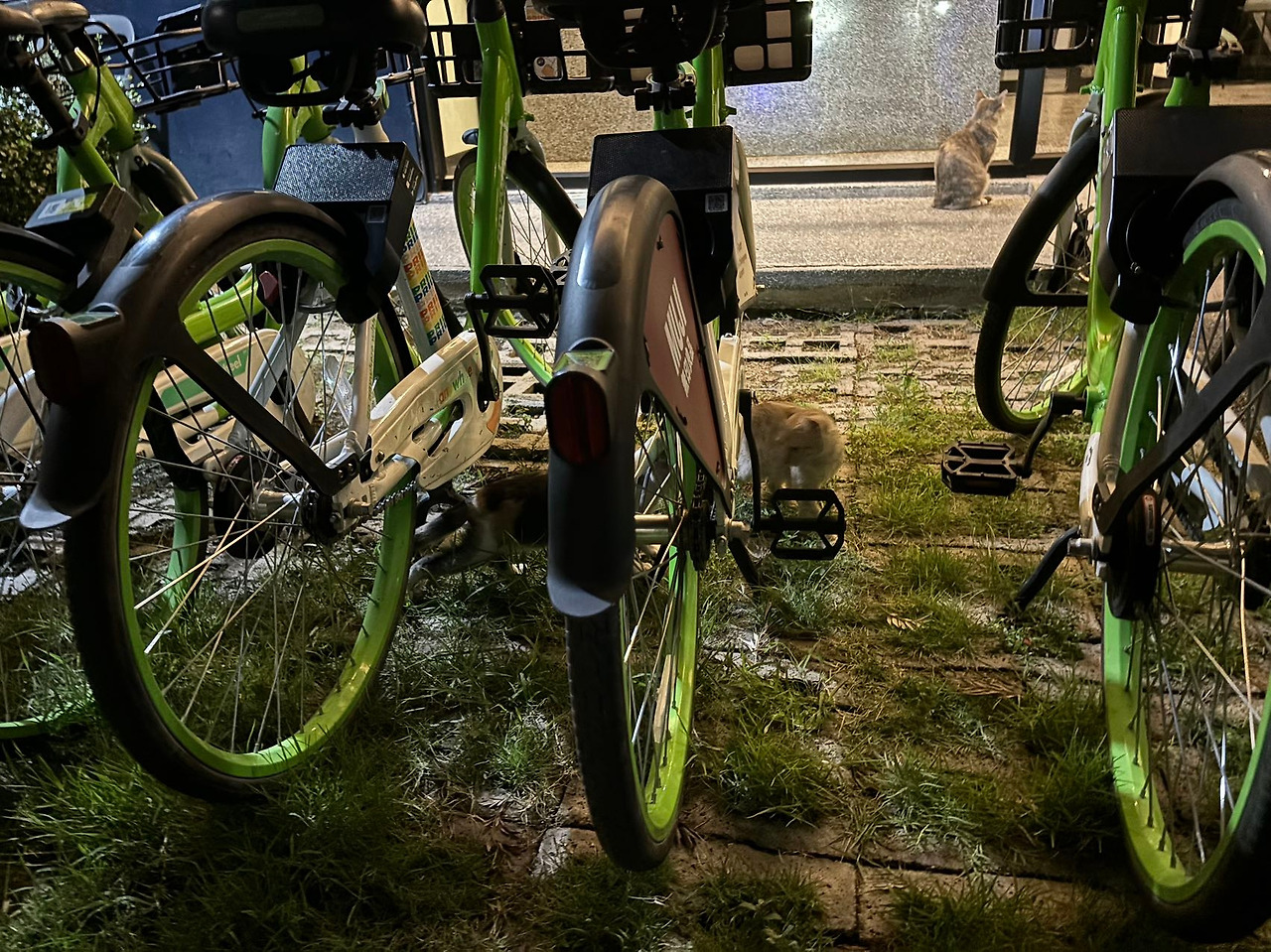 Weixin Image_20240805142553.jpg