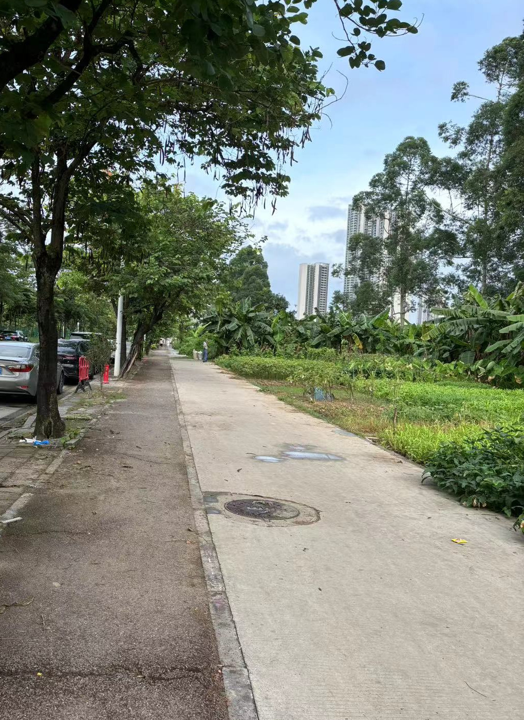 Weixin Image_20240705192706.jpg