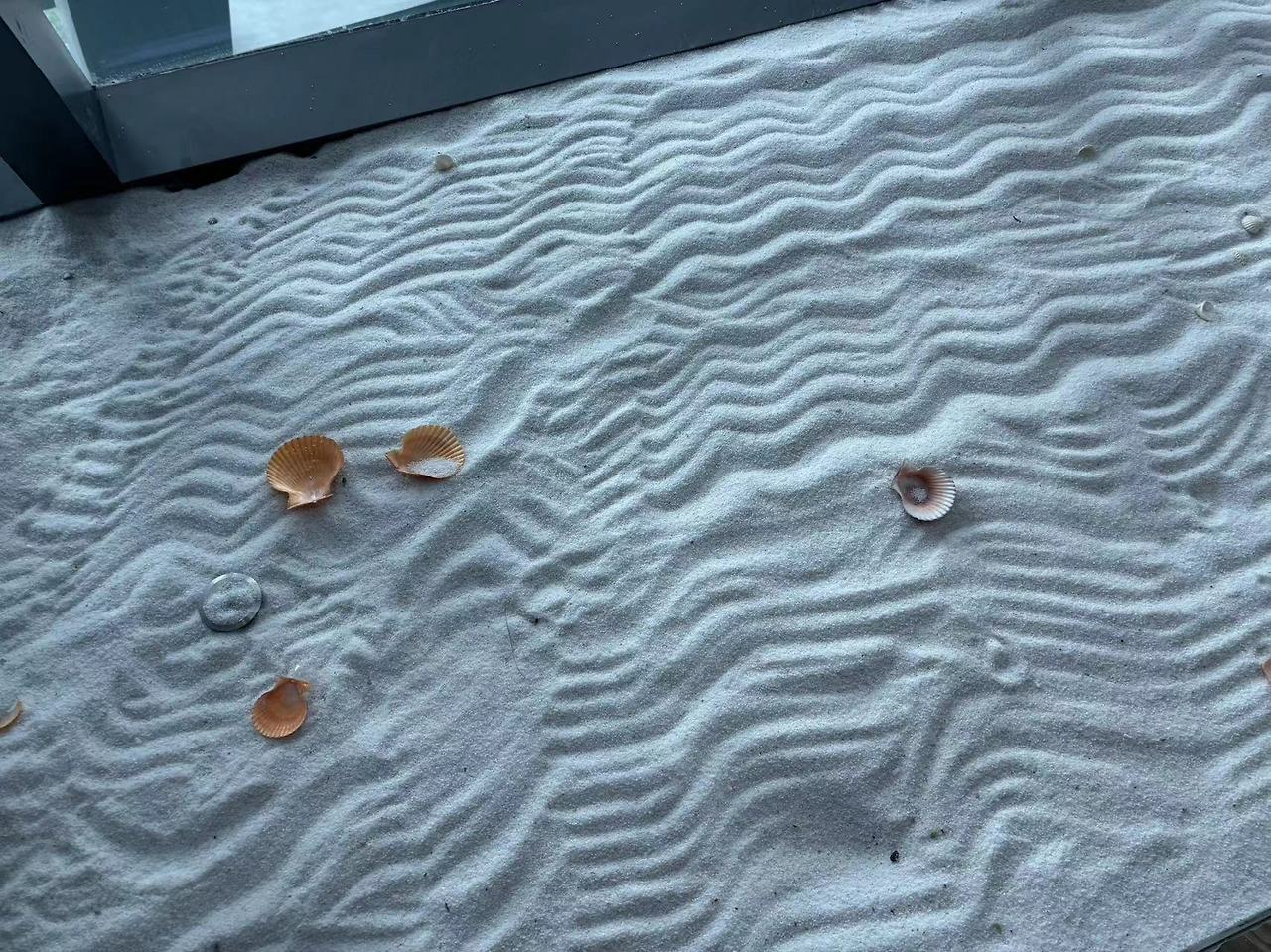 Weixin Image_20240812001529.jpg