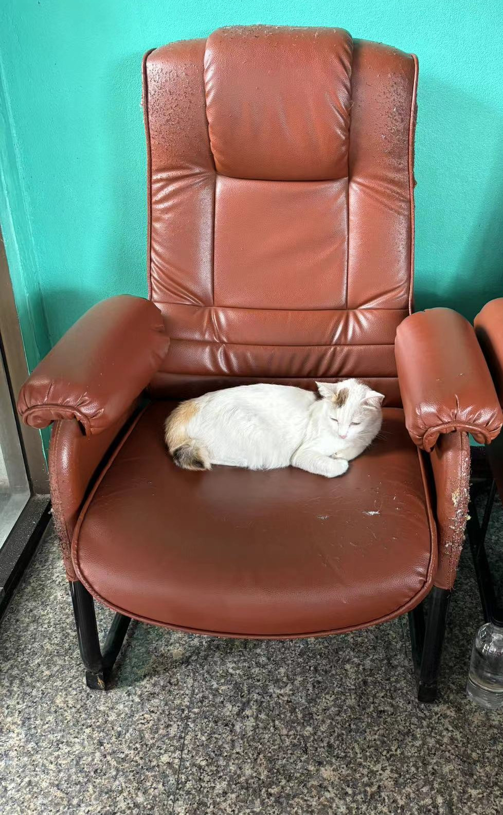 Weixin Image_20240814125347.jpg