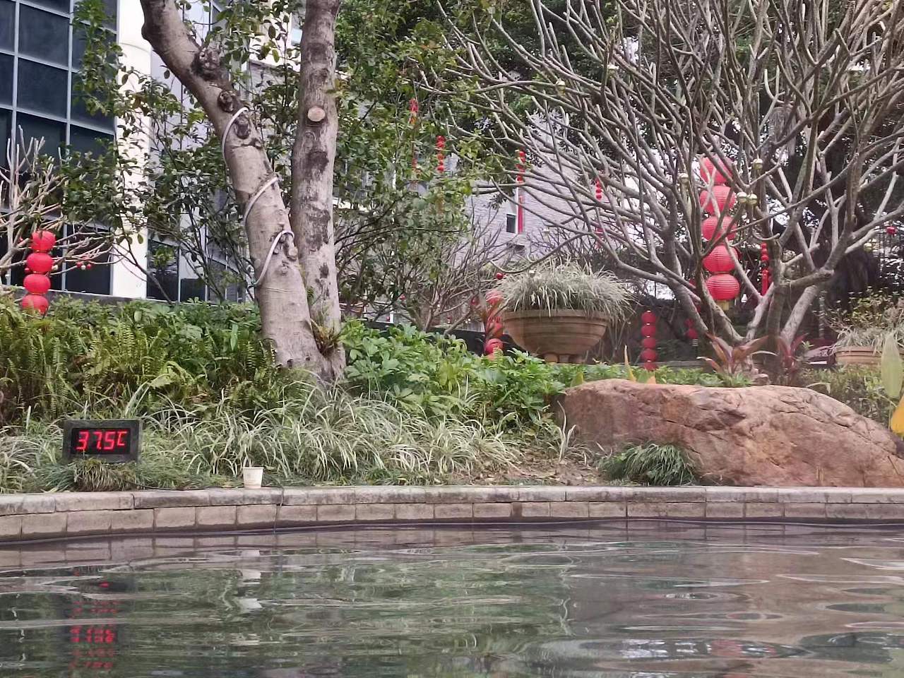 Weixin Image_20240207170411.jpg