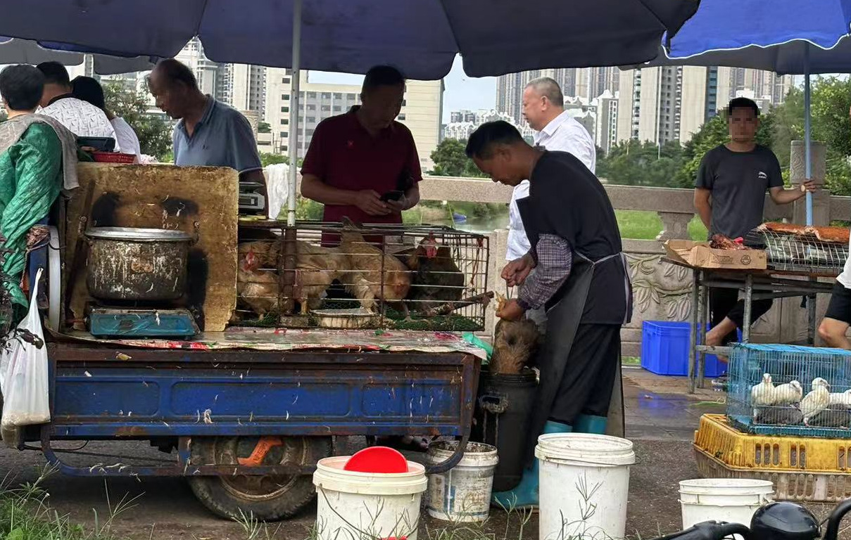 Weixin Image_20240705192632.jpg