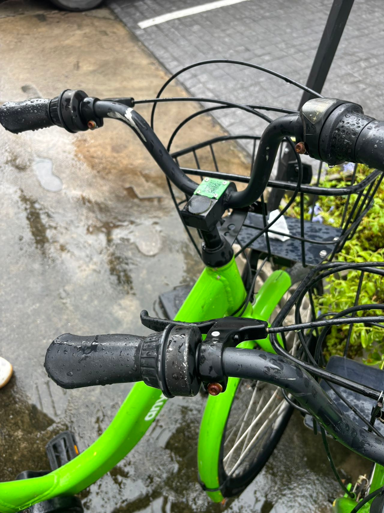 Weixin Image_20240805142622.jpg