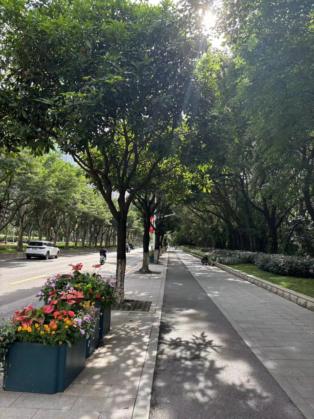 Weixin Image_20240629163455.jpg