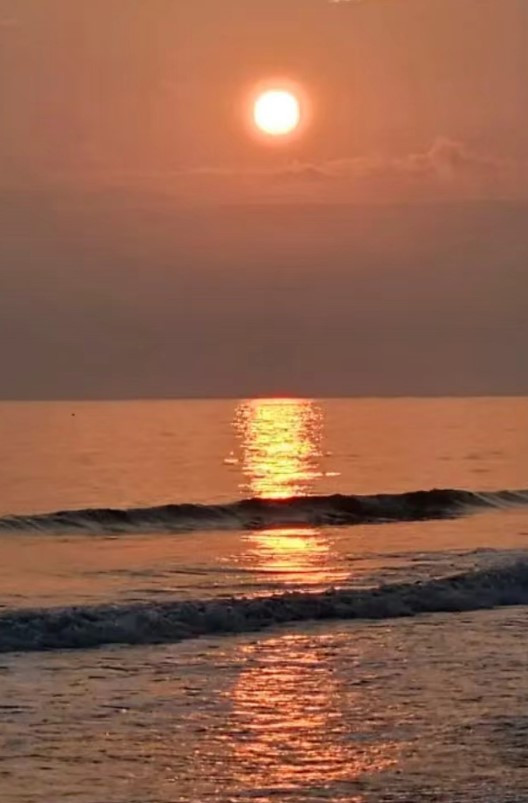 화면 캡처 2024-02-13 162118.jpg