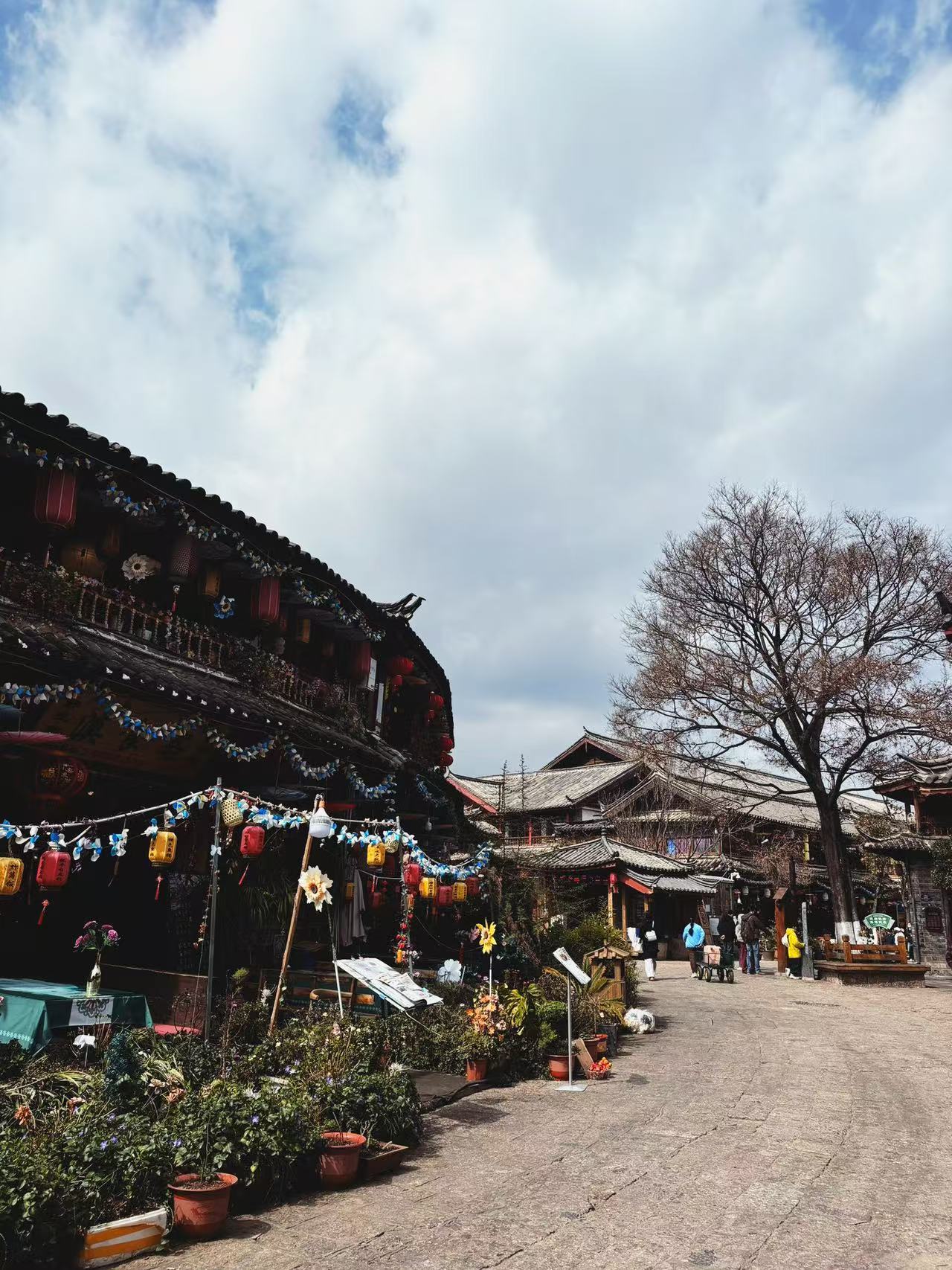 Weixin Image_20250215170142.jpg