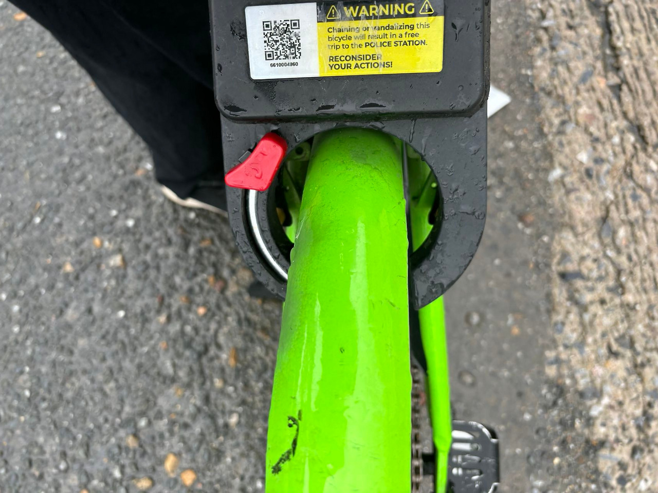 Weixin Image_20240805142614.jpg