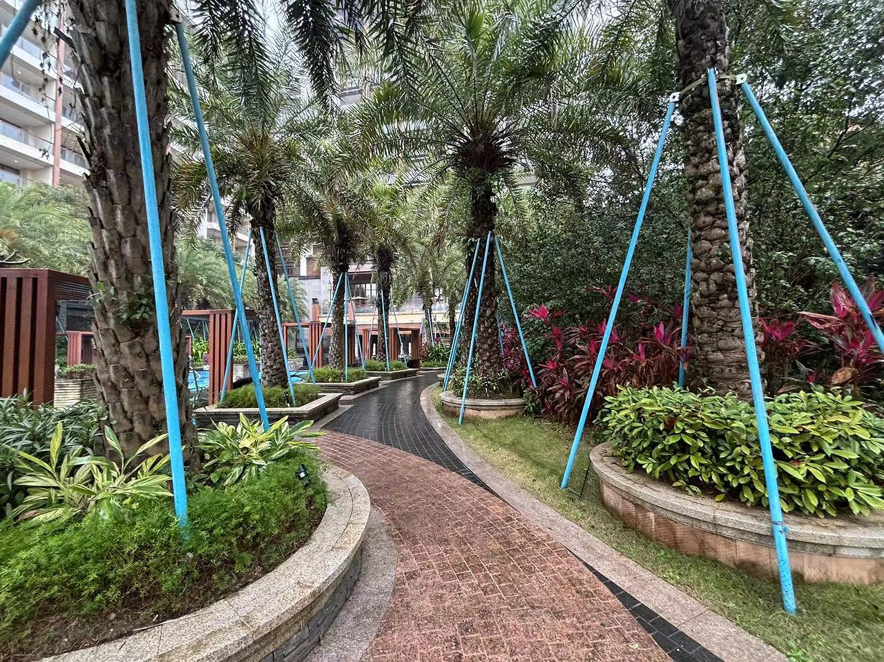 Weixin Image_20240208155529.jpg