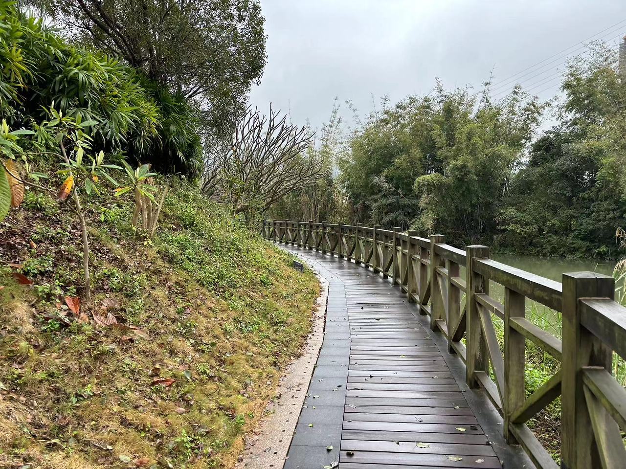 Weixin Image_202402081556321.jpg