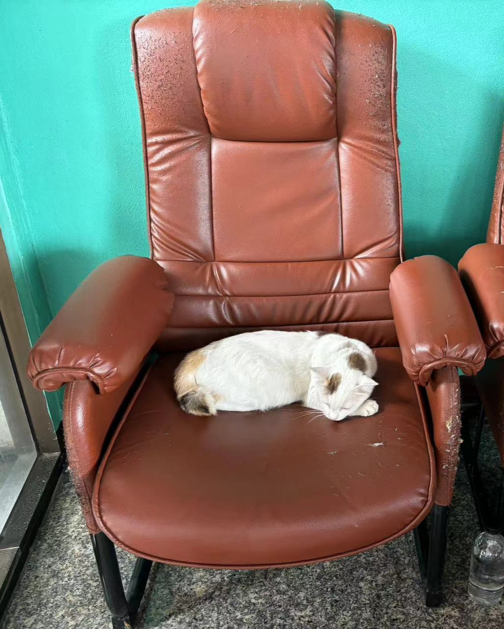 Weixin Image_20240814125350.jpg