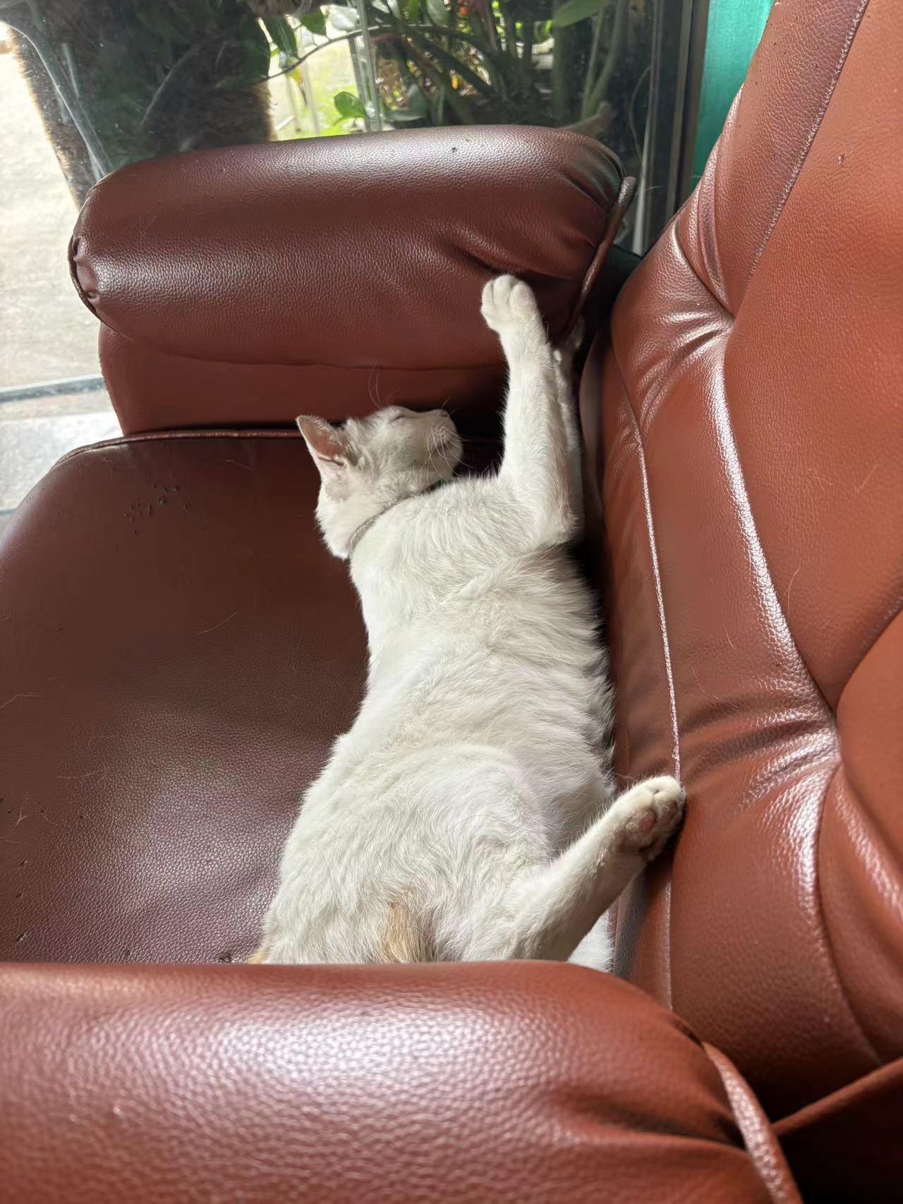 Weixin Image_20240814125609.jpg