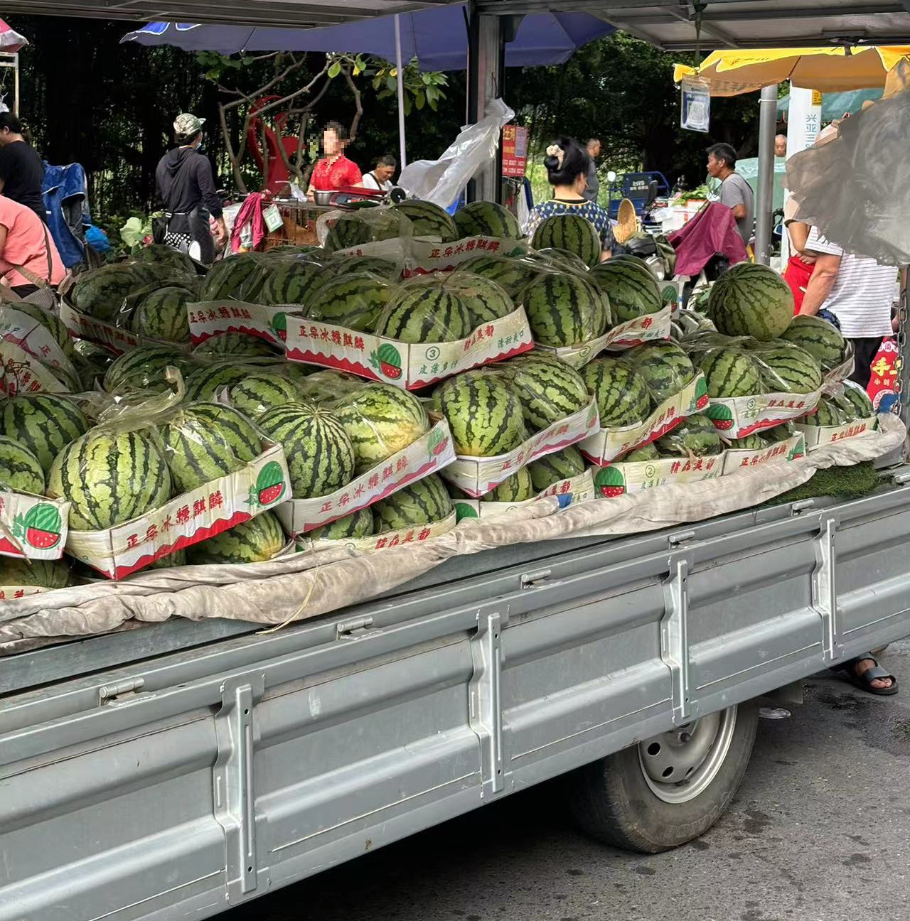 Weixin Image_20240705192629.jpg