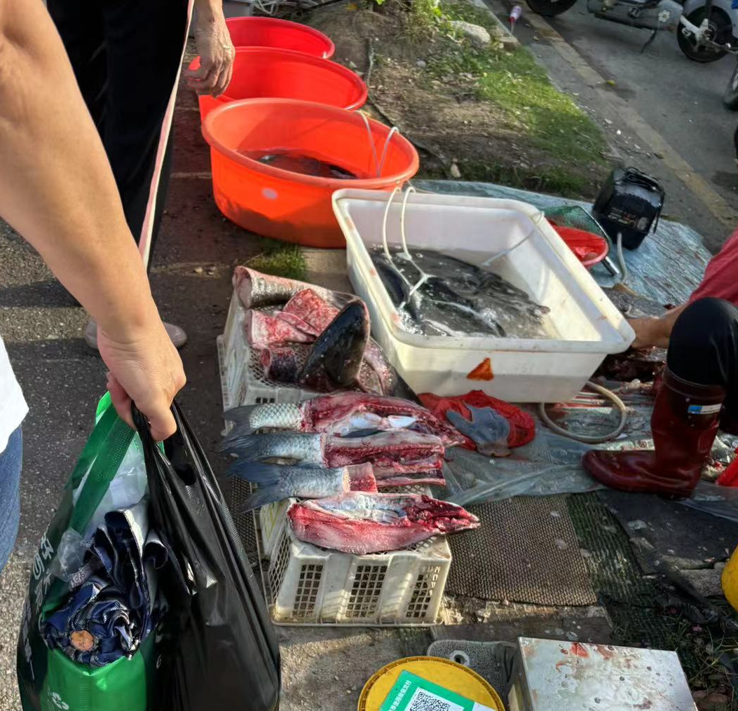 Weixin Image_20240705192616.jpg