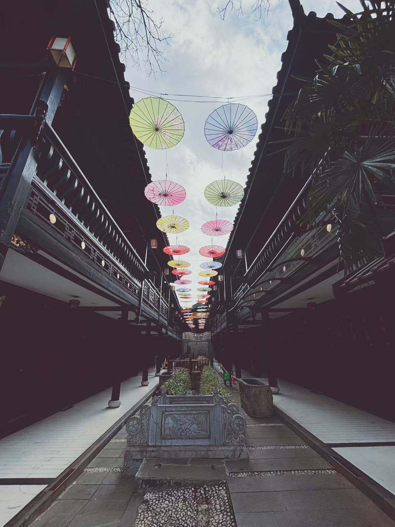 Weixin Image_20250215170139.jpg