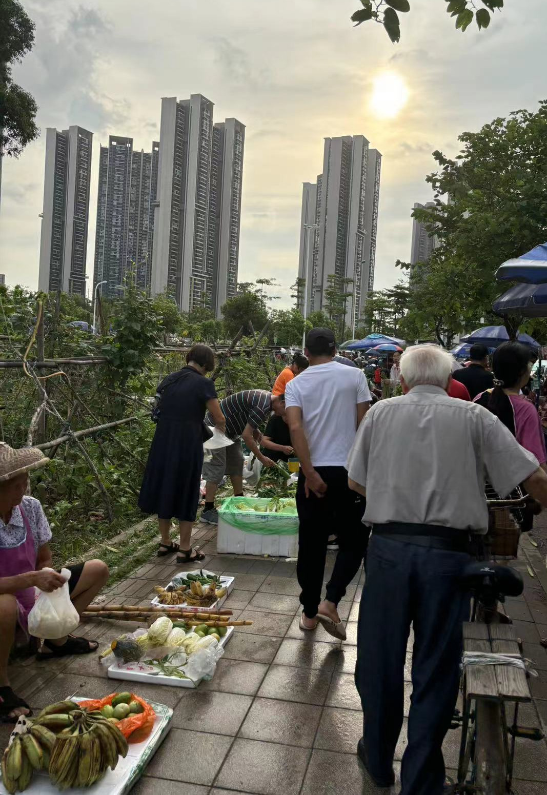 Weixin Image_20240705192653.jpg