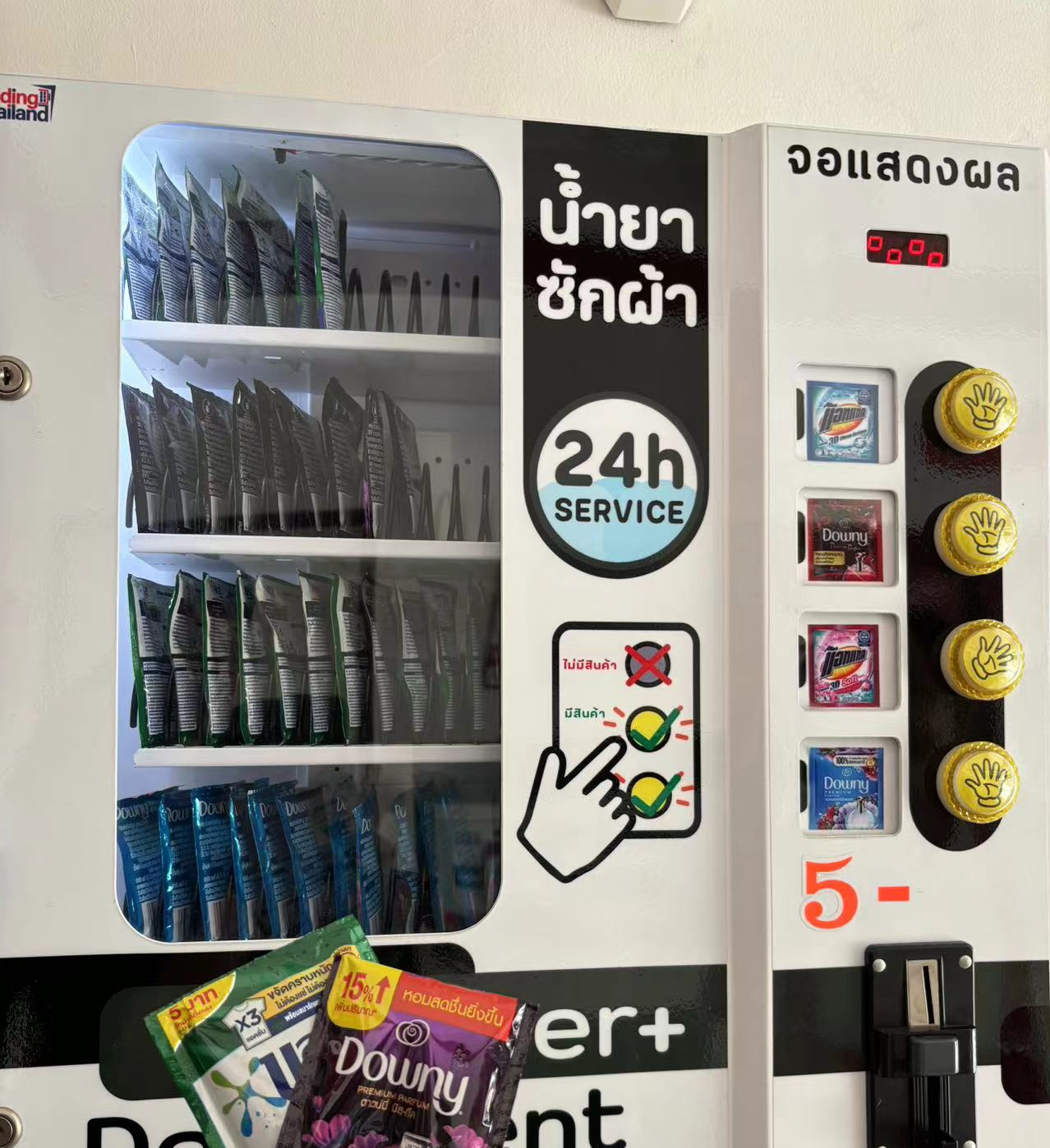 Weixin Image_20240906204646.jpg