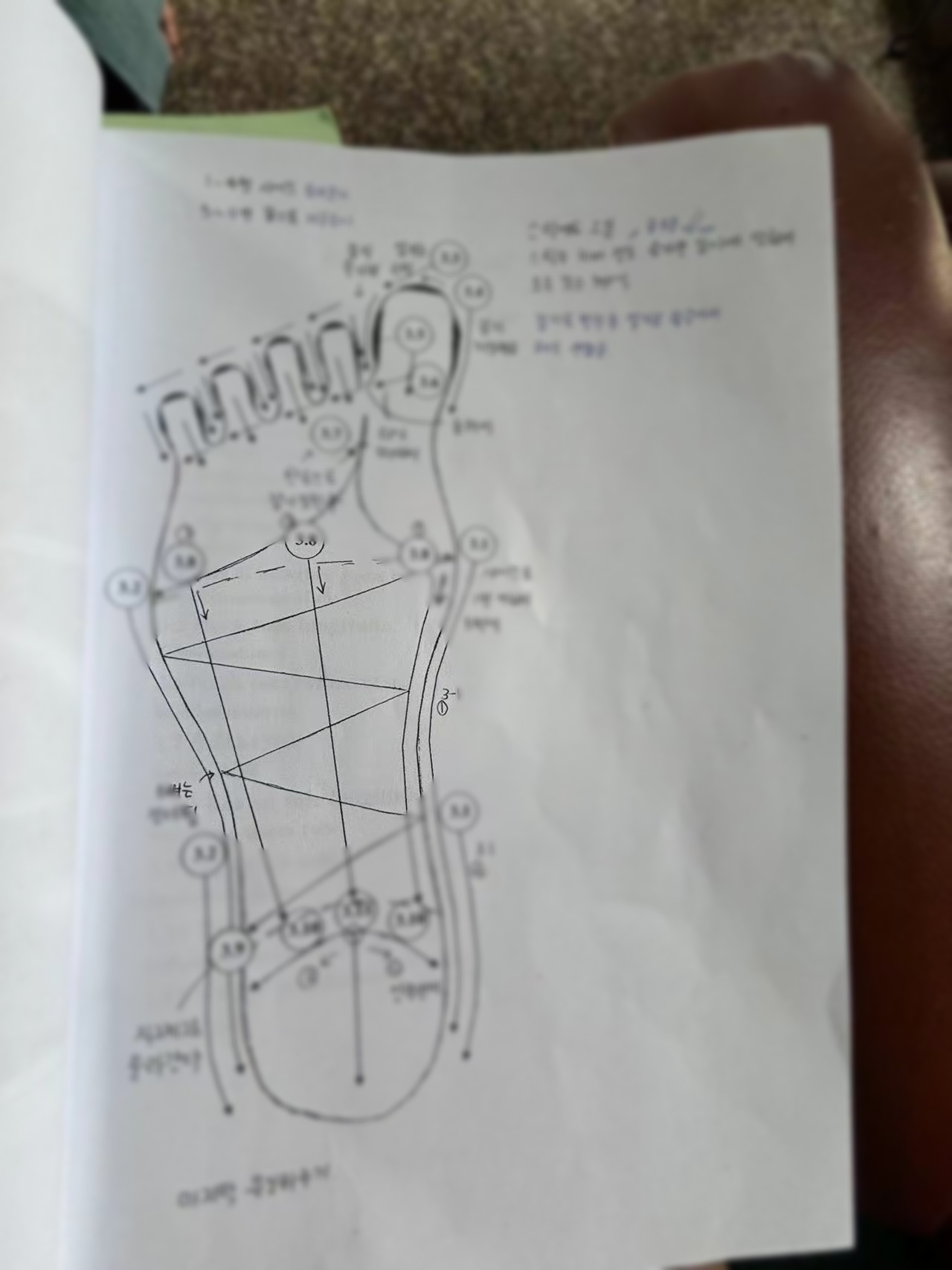 Weixin Image_20241002081836.jpg