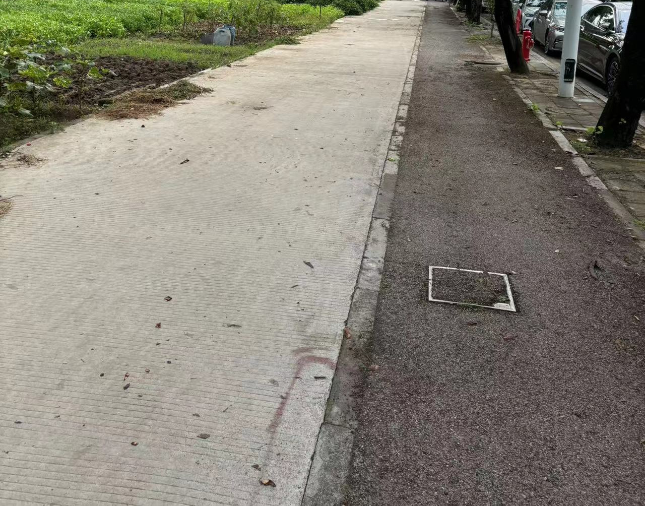 Weixin Image_20240705192714.jpg