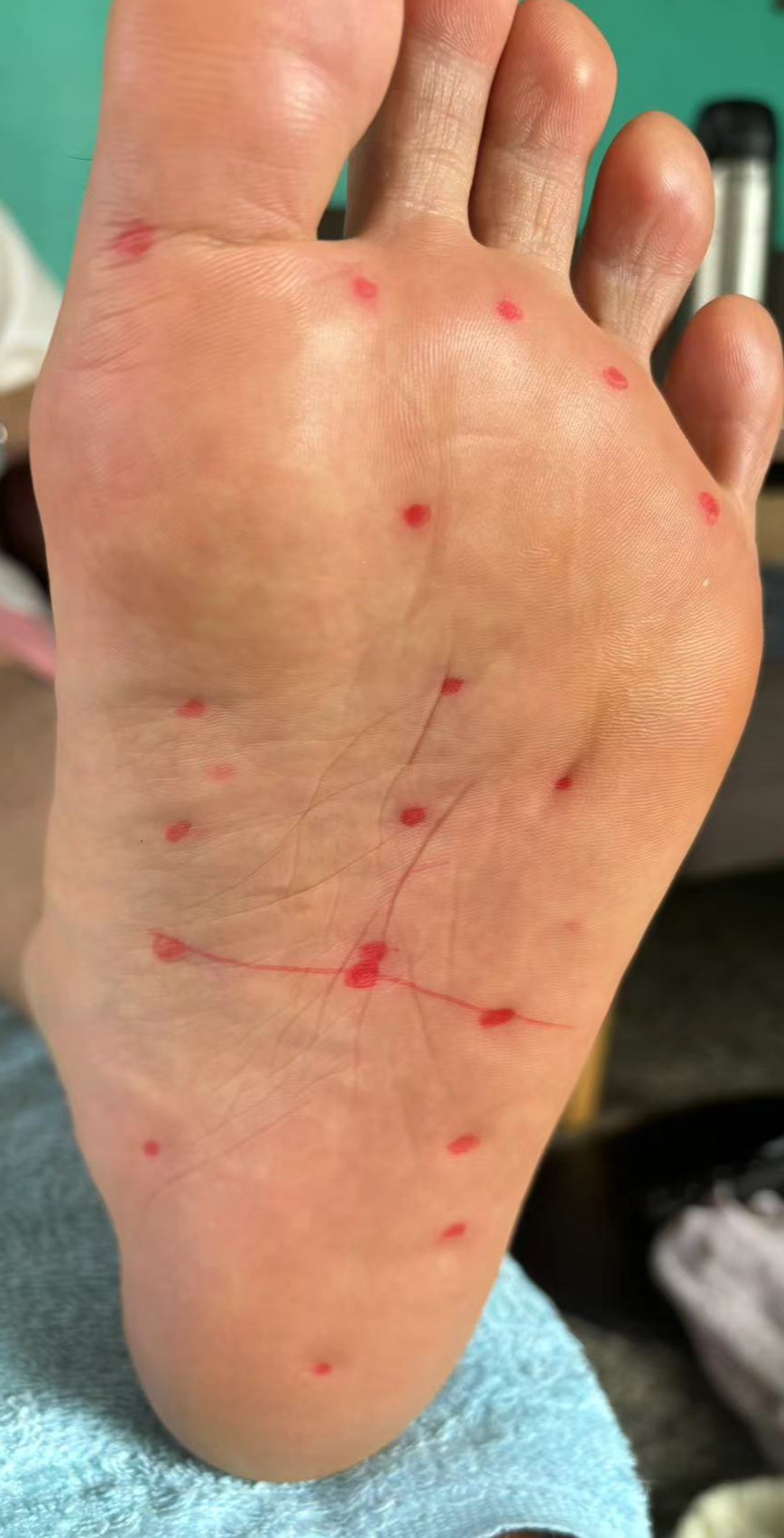 Weixin Image_20241002081921.jpg