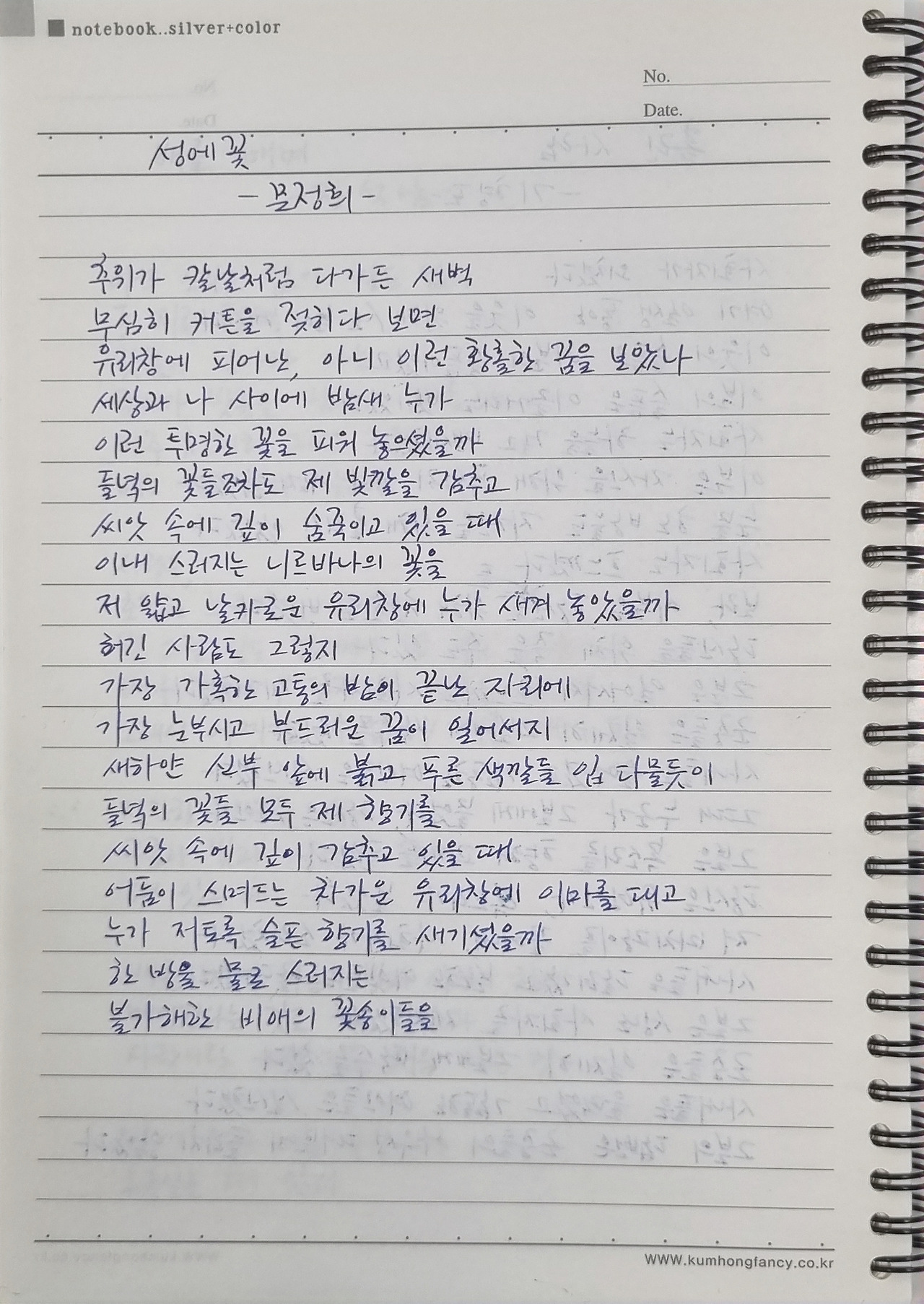 문정희 성에꽃.jpg