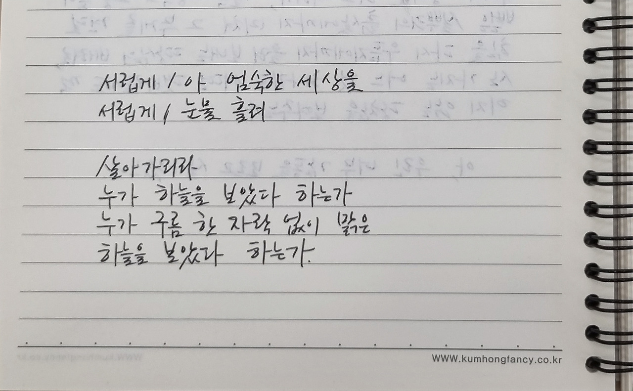 신동엽 누가 하늘을 보았다 하는가 2.jpg