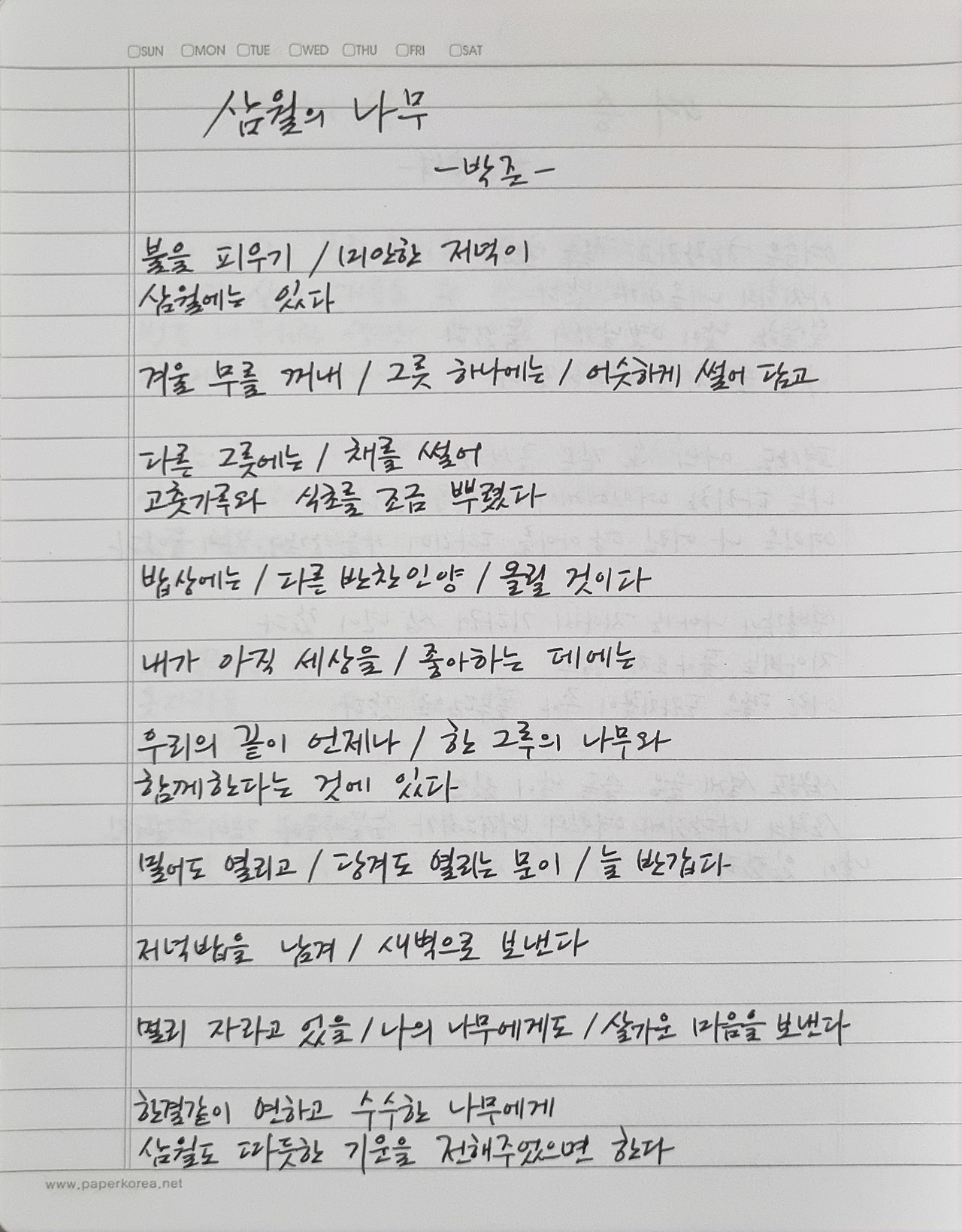 박준 삼월의 나무.jpg