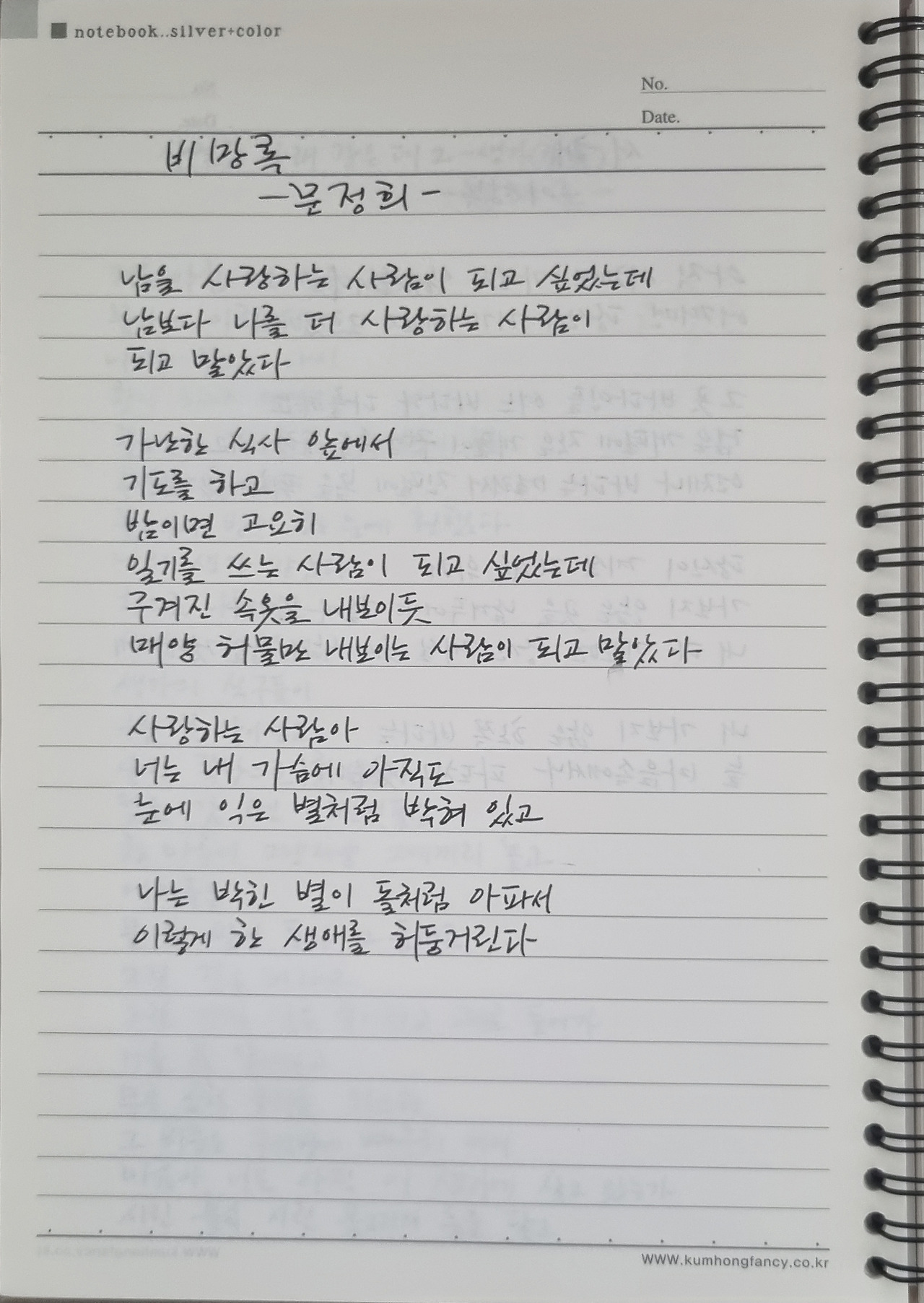 문정희 비망옥.jpg