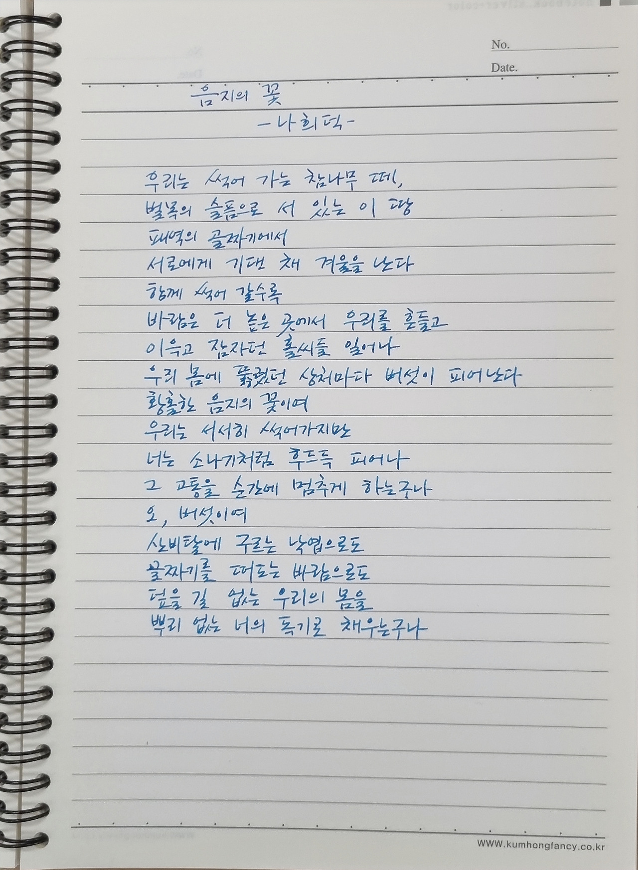 나희덕 음지의 꽃.jpg