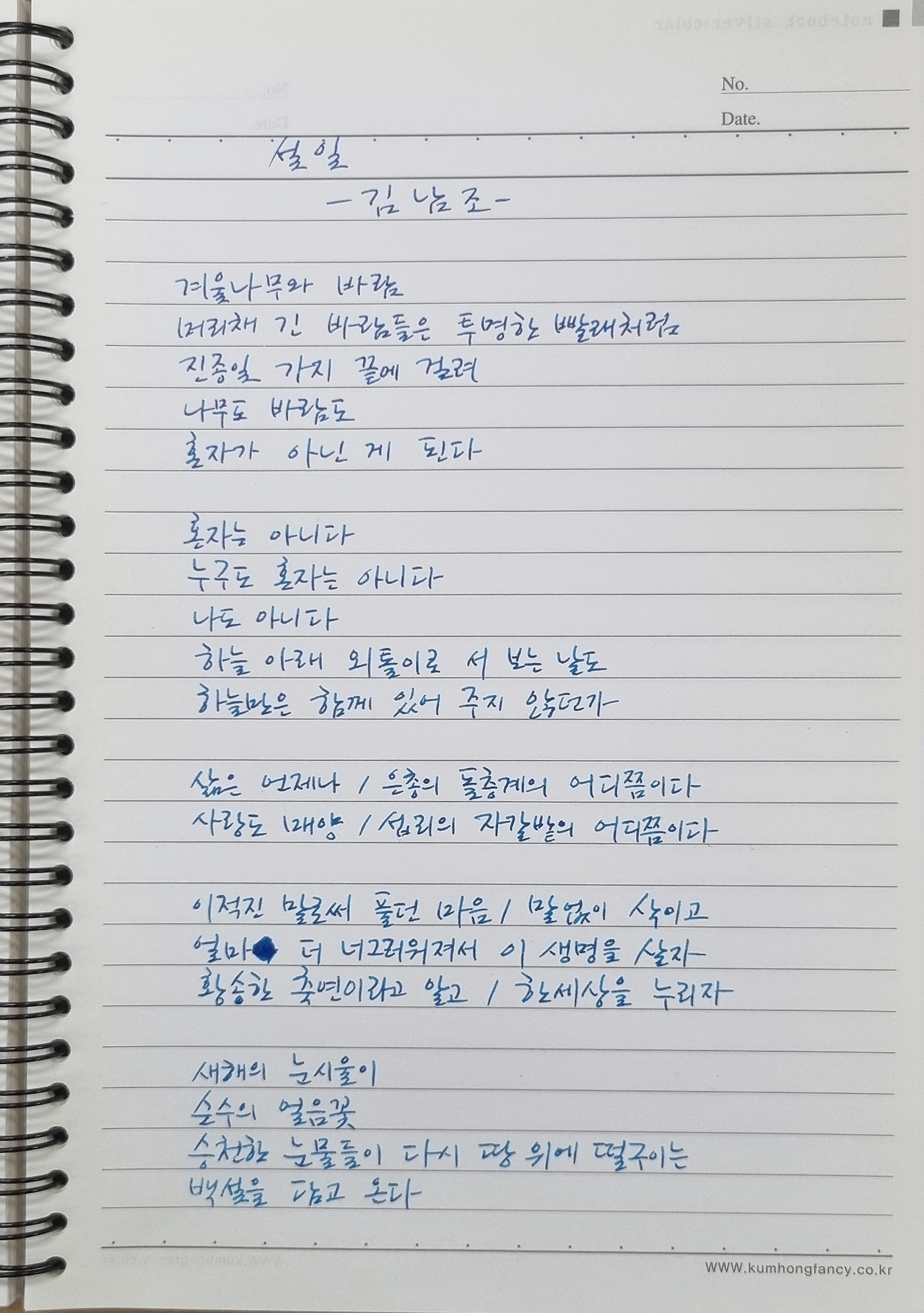 김남조 설일.jpg