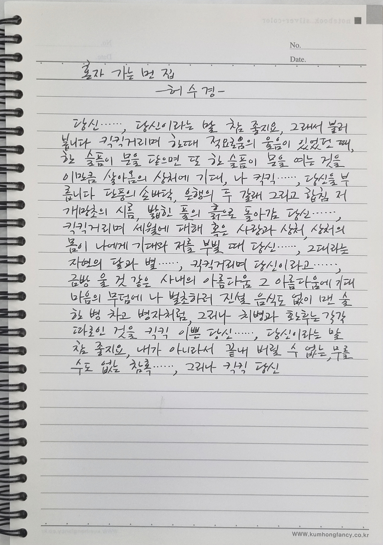 허수경 혼자 가는 먼 집.jpg